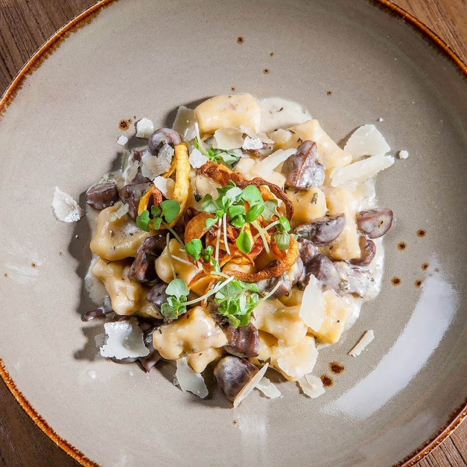 Lena's gnocchi with mushrooms, cream sauce, parmesan, crispy onions, and microgreens on a plate.