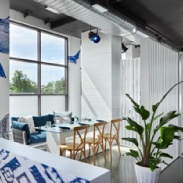 Modern dining area with large windows, blue cushioned seating, wooden chairs, and a potted plant.