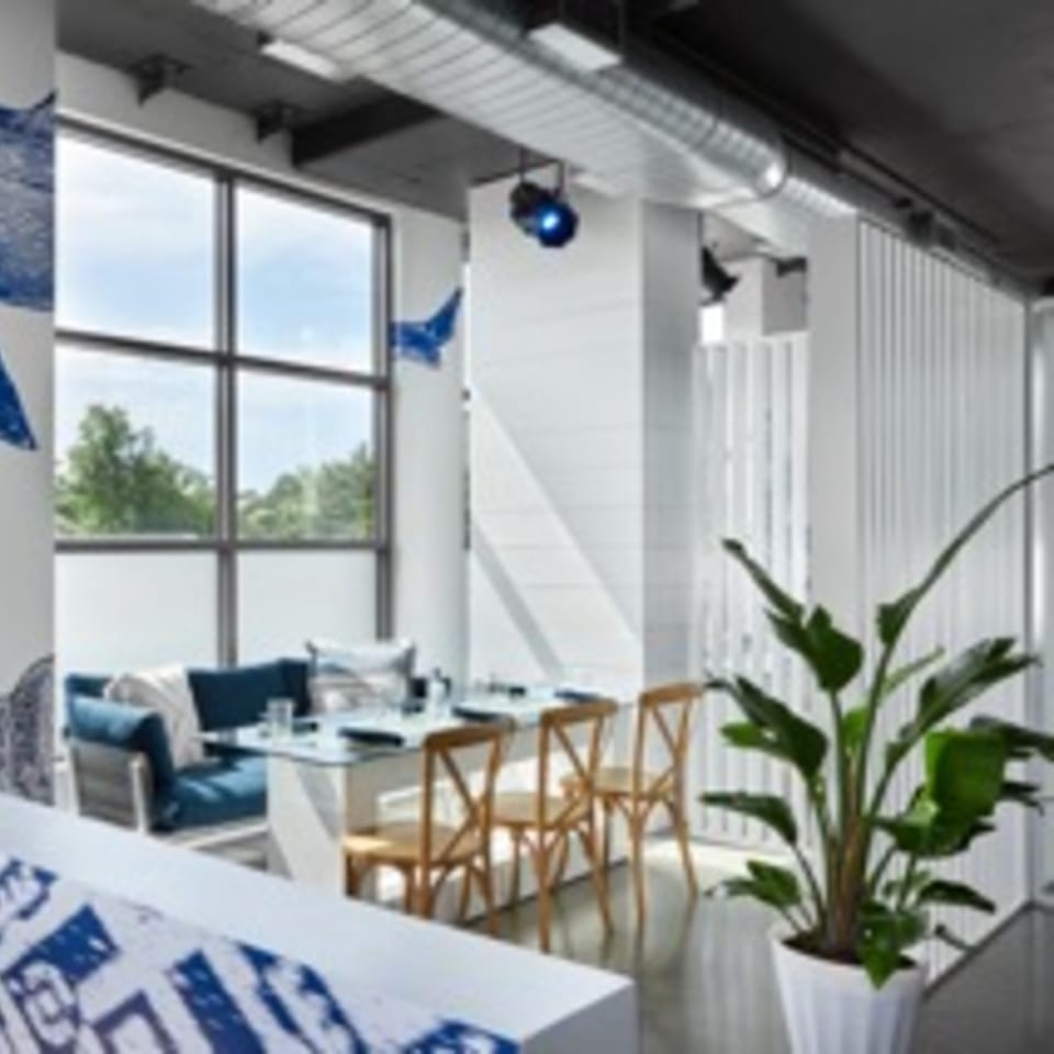 Modern dining area with large windows, blue cushioned seating, wooden chairs, and a potted plant.