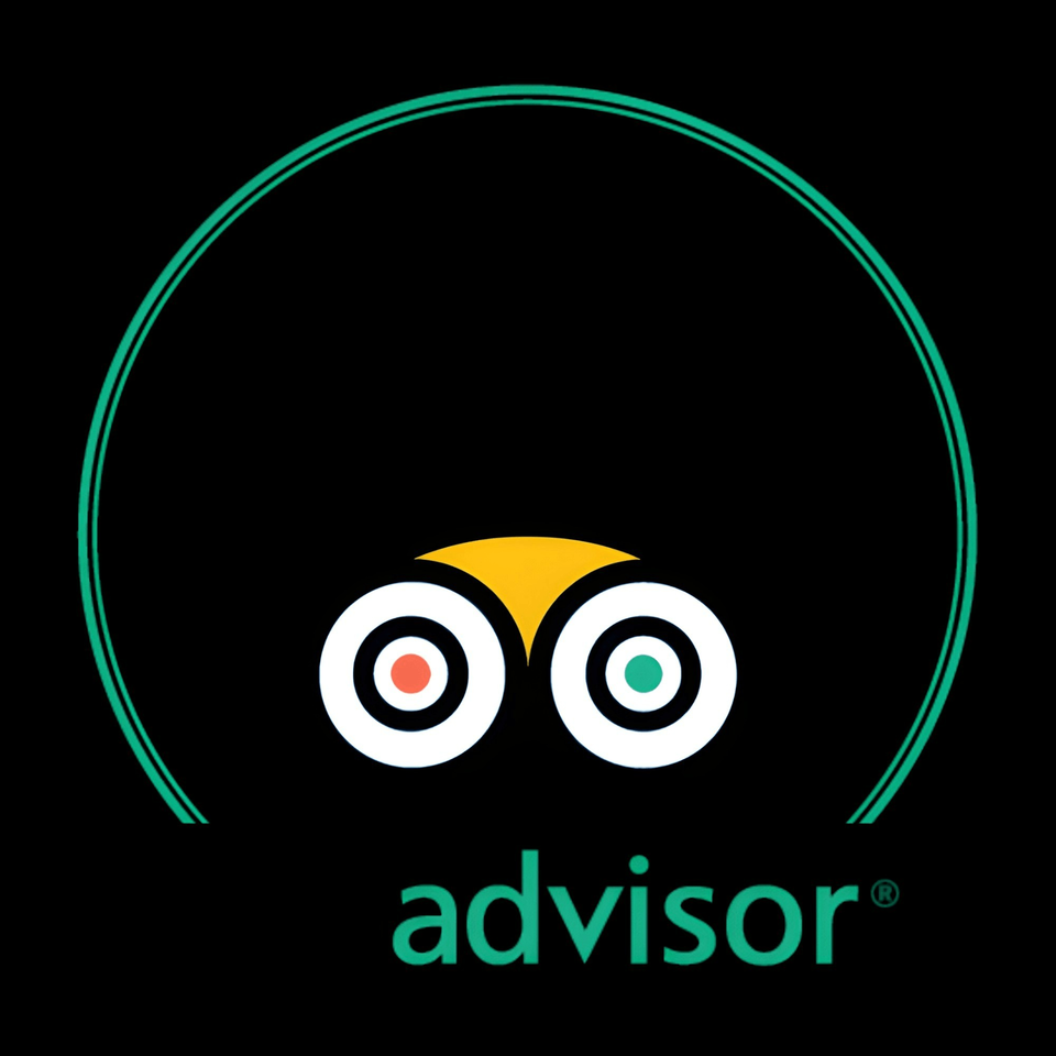 TripAdvisor logo, an owl icon with a green outline, and the word "advisor" below.